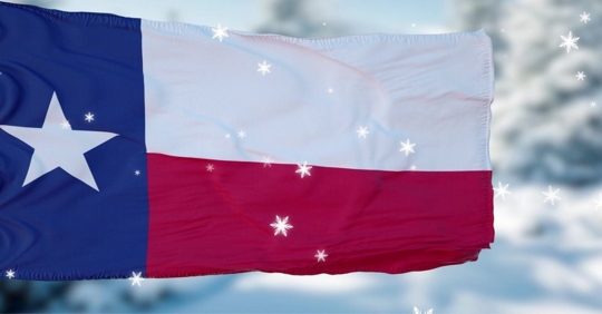 texas flag in the winter cold snowflakes