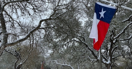 Texas Flag hanging with a background of snow covered trees.