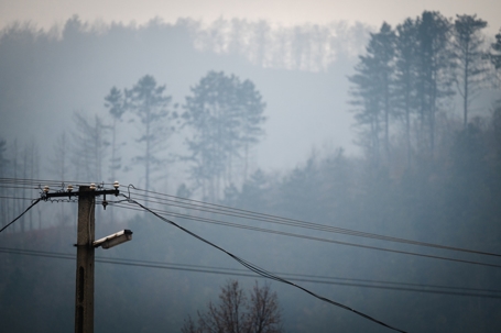 Untrimmed Trees and Power Lines