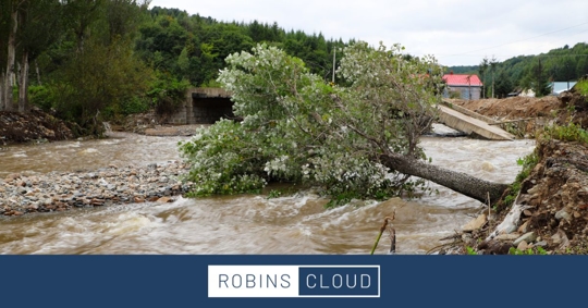 flash flooding with tree downs